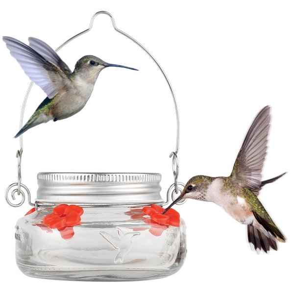 Nature's Way Bird Products MJF1 Nature's Way Mason Jar Hummingbird Dish Feeder, Clear 4.5" dia.