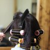 Beaupretty Hair Combs, 3 Pieces Hair Stylist Non Slip Hair Clips Comb Rat Tail Teasing Clip Comb Hair Coloring Styling Tools Highlighting Comb Hair Rollers for Salon Home (Black)