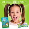 BrightWorks Kids’ Mixed Berry Dental Flossers [180 Floss Picks], Plant-Based Handles, Colorful Animals add Fun to Support Healthy Habits, Easy-Grip Handle, Fluoride-Coated Floss. 60 Count (Pack of 3)