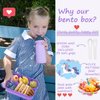 Sunhanny Bento Lunch Box for Kids - 4 Compartments, Sauce Container, Utensils, Food Picks and Muffin Cups, Purple Unicorn