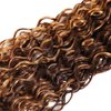 Water Wave Human Hair Bundles Ombre Honey Blonde Curly Bundles, Glossy & Shed-free P4/27 Highlighted Wet And Wavy Human Hair Bundles Weave Brown Piano Color 10A 100% Virgin Hair Single Bundle 16 Inch