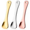 WY LIGHTING LEVEL 3Pcs Mini Skin Care Spoons Reusable Cosmetic Scoop Massage Metal Makeup Spatula Face Cosmetic Applicator Scoop Beauty Cosmetic Tool for Cream Lotions Moisturizers Mixing and Sampling