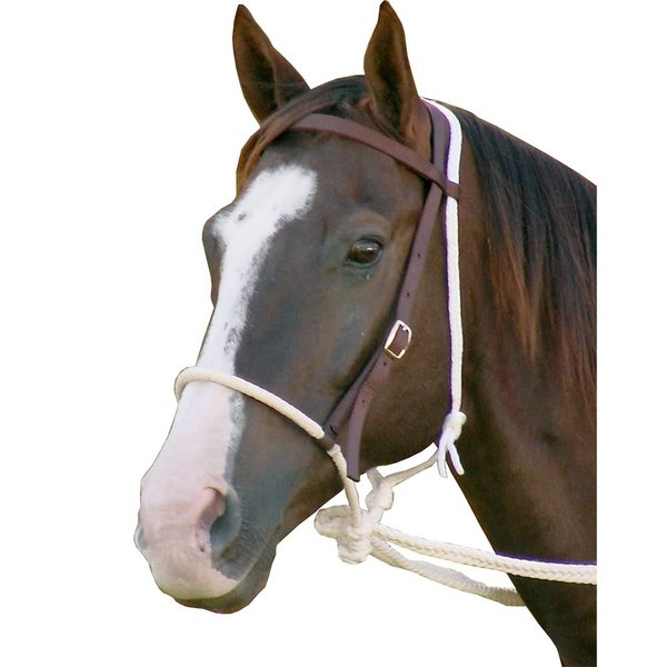 Mustang Breaking Hackamore Bridle for Horse | Durable Horse Bitless Bridle with 7/16" Rope Noseband, 3/4" Headstall & Flat Braided Reins