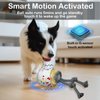 Interactive Dog Toys Automatic, Indoor Moving Dog Toy, Outdoor Floating Dog Water Toy, Motion Activated/USB Rechargeable Dog Balls to Keep Them Busy