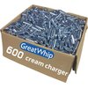 GreatWhip Whipped Charger 600 Count Original Flavor Overstocked 5 Years