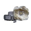 House of FurBaby Flower Dog Collar | Wedding Dog Collar | XS S M L (M w/Leash, Ivory Collar)