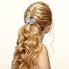 PAGOW 2Pcs Crystal Flower Bridal Hair Clips, Silver Bride Wedding Hair Accessories Hair Pins, Rhinestone Flower Wedding Headpiece for Brides Women Girls