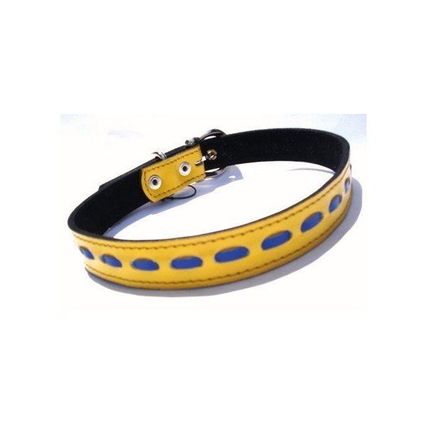 The Cool Puppy XL Cool Leather Dog Collar Yellow and Blue
