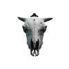 Veradura - European Skull Wall Mount Bracket Hanger for Deer Mule Antelope Coyote and Small Game Animals - Complete with Simple & Easy Installation Kit - Suitable for Indoors or Outdoor use