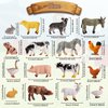 Cptoion 16 Pieces Mini Farm Animals Figures,Realistic Farm Animal Figurines,Plastic Farm Barn Animals Playset,Mini Learning Educational Playset for Cake Toppers Birthday Animal Themed Party Favors