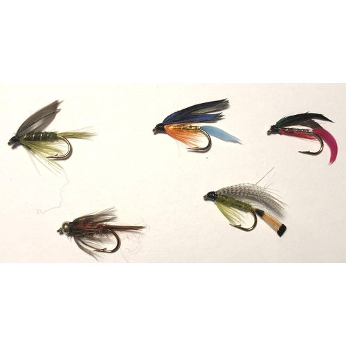 Flies Direct Trout Fishing Fly Assortment (2-Dozen) Blue