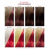 Adore Semi Permanent Hair Color - Vegan and Cruelty-Free Hair Dye - 4 Fl Oz - 064 Ruby Red (Pack of 1)