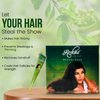 Reshma Beauty Henna (Mehndi/Heena) Cone | 100% Natural, For Soft Shiny Hair | Infused with Eucalyptus Oil| Henna Hair Color, Gray Coverage| Ayurveda Hair Products (pack of 12)