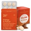 NeuroGum Energy Caffeine GUM (54 Pieces) - Sugar Free with L-theanine + Natural Caffeine + Vitamin B12 & B6 - Nootropic Energy & Focus Supplement for Women & Men - Keto & Vegan, Cinnamon Flavor