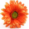 4 inch Variegated Orange Gerbera Daisy Silk Flower Hair Clip