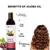 Sage Apothecary Jojoba Oil | 100% Pure Jojoba Oil for Skin, Hair, Scalp, Nails, Face | Hair & Body Oil - 200 ml