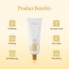 Amber528 Scented Hand Cream, Vegan Moisturizing Hand Cream with Yuzu Extract, Hinoki Cypress Oil, Shea Butter and Ceramide Complex for Women & Men, Amber Scent, Free from Paraben (50ml / 1.69 fl. Oz)