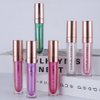 Easilydays Clear Shimmer Lip Gloss for Women, Long Lasting High Shine Shimmer Liquid Lipstick, Flash Pearl Colored Lip Oil Polarized Lip Stain, Shimmery Finish Waterproof Lip Glaze for Women, 02