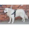 DT Universal No Pull Dog Harness, Service Dog, Black, X-Small, Fits Girth Size: 21-Inch to 25-Inch