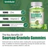 2 Pack Soursop Graviola Gummies - 3000mg Extra Strength Soursop Leaves Supplement with Vitamin C, Zinc - Digestive Aid, Immune Support & Antioxidant - Sugar-Free, Non-GMO, Vegan, 120 Counts