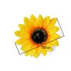 6PCS Sunflower Hair Clips Yellow Floral Alligator Hairpins Clamp Barrettes Hair Styling Accessories Tools for Women Girls Beach Summer Party