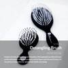 Detangling Brush - Anti-Breakage Hairbrush for Wet or Dry Hair, All Hair Types, Minimizes Pain & Protects Against Split Ends