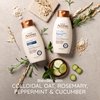 Aveeno, Fresh Greens Blend Sulfate-Free Conditioner with Rosemary, Peppermint & Cucumber to Thicken & Nourish, Clarifying & Volumizing for Thin or Fine Hair, Paraben-Free, 12oz