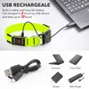 Illumifun LED Dog Collar, USB Rechargeable Light Up Dog Collars, Adjustable Safety Dog Collar Light for Your Dogs Walking at Night (Green, Medium)