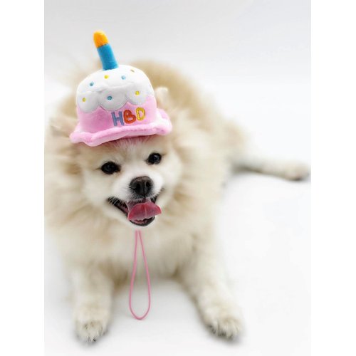 PawfectPals Plushy Squeaky, Happy Birthday, Cake, Party Celebration Toy (1 Pack)