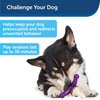 PetSafe Busy Buddy Jack - Treat Holding Dog Chew Toys - Helps Clean Teeth - Vanilla Scented Rubber for Strong Chewers - Treat Refills Included, Interactive Dog Toy Helps Keep Dogs Busy, Purple, Medium