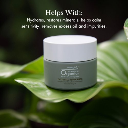 emerginC Scientific Organics Phytocell Detox Mask - Hydrating Facial Mask with French Green Clay, Seaweed + Plant Stem Cells - Draws Out Impurities + Excess Oils (1.6 oz, 50 ml)