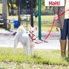 HALTI Training Leash - Multifunctional Double-Ended Dog Leash, Ideal for Anti-Pulling Dog Training. Easy to Use, Lightweight, Soft & Durable. Suitable for Puppies and Small Dogs (Size Small, Red)