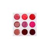 BH Cosmetics Shaaanxo 18 Color Eyeshadow & Lipstick Palette, 0.46 Pound
