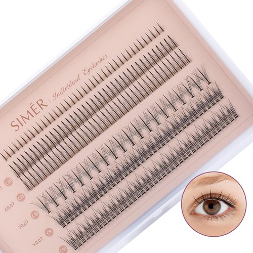 Individual Lashes 220 Clusters Eyelashes Extensions 4 Types Natural Fairy Manga Lashes 6-11mm Mixed Lashes Clusters DIY at Home (A Type & Fishtail & Fairy & Bottom Lashes)