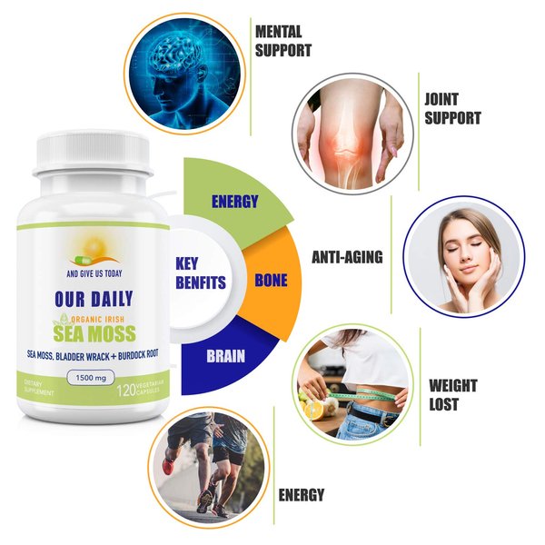 Our Daily Vites Organic Sea Moss 1500 MG 120 Ct Wildcrafted Irish Sea Moss Bladderwrack and Burdock Root Capsules Wildcrafted Vegan and Seamoss Superfood Supplement