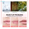 Joyeee Lip Oil Tinted, 6pcs Moisturizing Lip Glow Oil Plumping Lip Gloss Non-sticky Lip Plumper Tinted Lip Balm Lip Care Make Up Gifts for Women Gilrs Daily Lip Care Repairing & Lip Makeup
