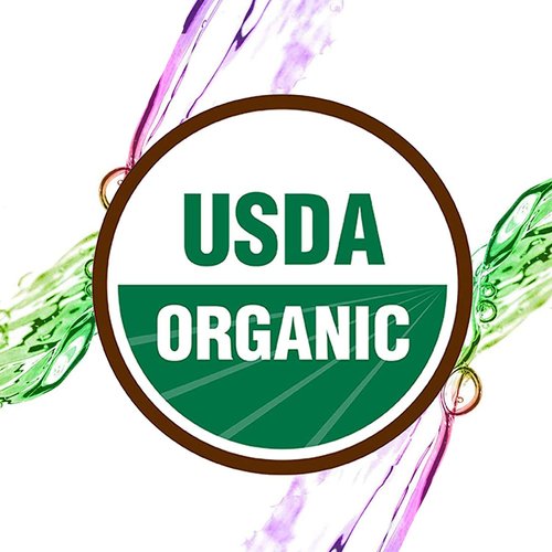 Healing Solutions Oils - 1 oz Head Ease Essential Oil Blends Organic for Diffusers, Aromatherapy - Head Ease Essential Oil Blend - Diffuser Oil - Aromatherapy Oils