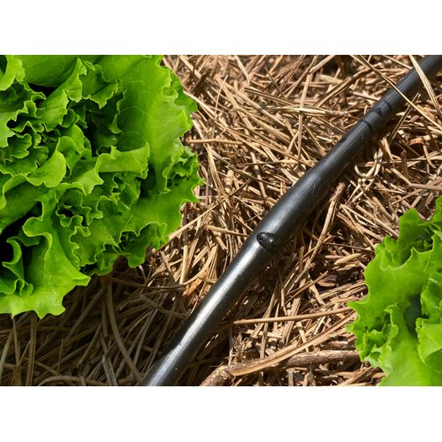 Habitech 1/4" Irrigation Dripline Tubing (100 Ft Roll) - 6" Emitter Spacing - 1/4" Drip Irrigation Fittings Included