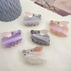 Flying Pig Hair Clips,Cellulose Acetate Hair Clips,Small Claw Clips for Girl,Hair Accessories,S1