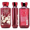 Japanes Cherry Blossom Body Wash with Pro-Vitamin B5 and Aloe - 10 FL OZ / 295 mL for bath and body work