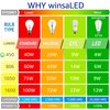 winsaLED Dimmable LED Edison Bulbs 40 Watts Equivalent, 4 Watt LED Filament Bulb, 5000K Daylight ST19 Light Bulb, 450LM E26 Vintage LED Bulbs for Light Fixtures 12 Pack