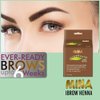 Mina ibrow Hair Color|Long Lasting Natural Spot coloring and Hair Tinting Powder, Water and Smudge Proof | No Ammonia, No Lead with 100% Gray Coverage |Vegan and Cruelty free| Pack of 5