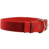 Cotton Web Dog Collar 3/4" Wide. Fits 13"-17" Neck. Border Terrier, Boston Terrier, Spaniel