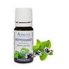 Amrita Aromatherapy Organic Peppermint Essential Oil, 100% Pure Undiluted Mentha piperita, Therapeutic Grade, Premium Quality Aromatherapy oil, Tested & Verified, 10ML