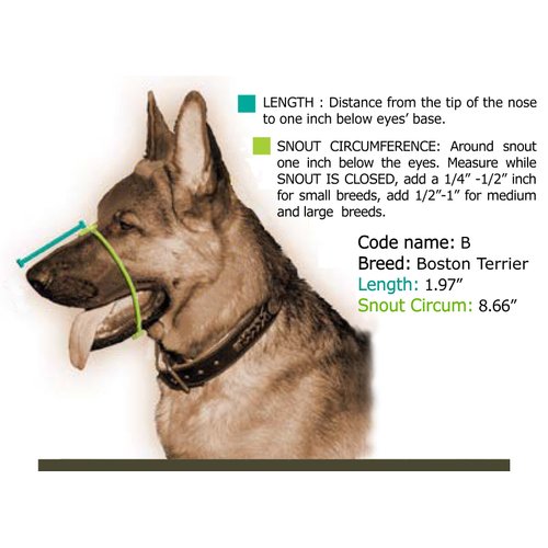 Dean and Tyler Leather Basket Muzzle, Size No. BT - Boston Terrier