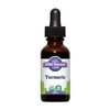 Oregon's Wild Harvest Turmeric Fresh 1:1 Organic Herbal Supplement, 1 Fluid Ounce