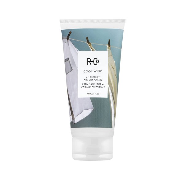 R+Co Cool Wind pH Perfect Air Dry Crème | Air Dry Styler Tames Frizz + Hydrates | Vegan + Cruelty-Free | 5 Oz