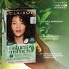 Clairol Natural Instincts Demi-Permanent Hair Dye, 5R Medium Auburn Hair Color, Pack of 1