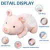 Fawowe Weighted Stuffed Animals, Weighted Pig Stuffed Animal Cute Pig Weighted Plush Animals Hugging Pillow Toy Gifts for Adults and Kids, 15.7 inch