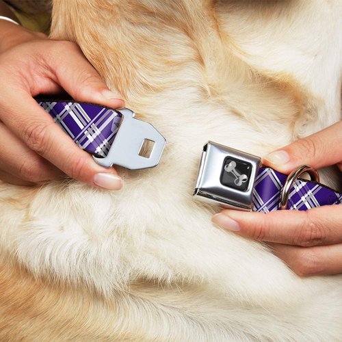 Dog Collar Seatbelt Buckle Plaid X3 Purple Gray White 9 to 15 Inches 1.0 Inch Wide